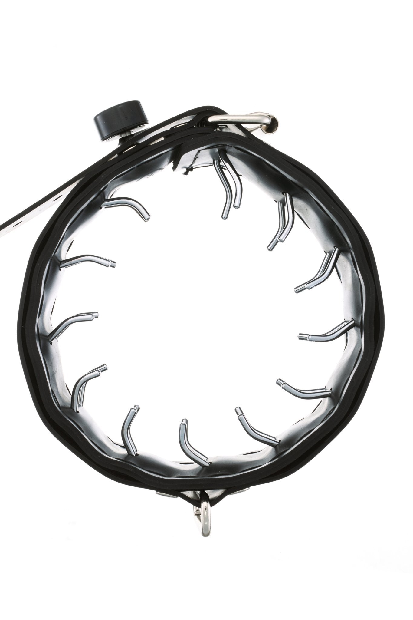 The punishment collar - Vilain Garçon - The punishment collar